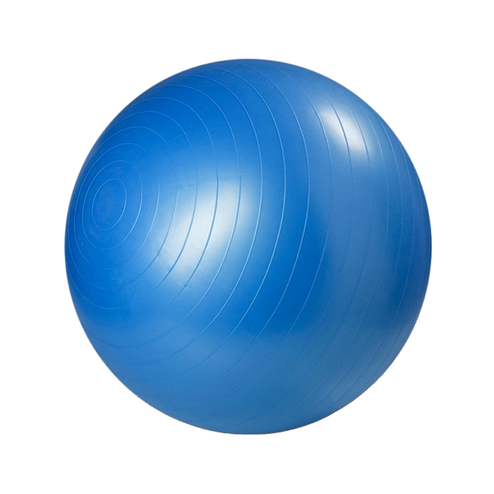 68-502085R_gymboll-65-cm-blue_master-fitness_0320