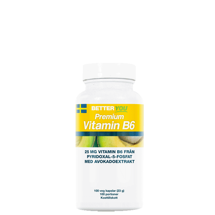 A506-24_Premium-Vitamin-B6-100kapslar_yogiraj_0520
