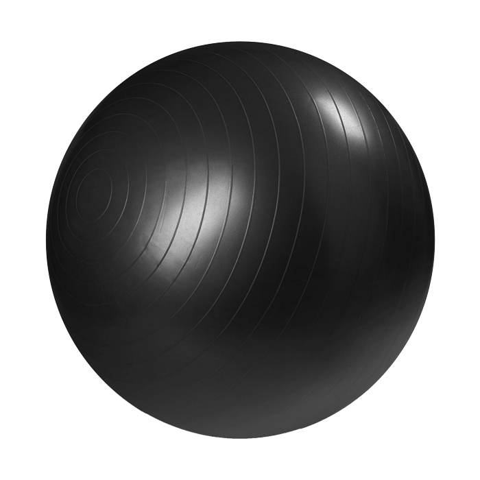 gymboll-2-master-fitness_1